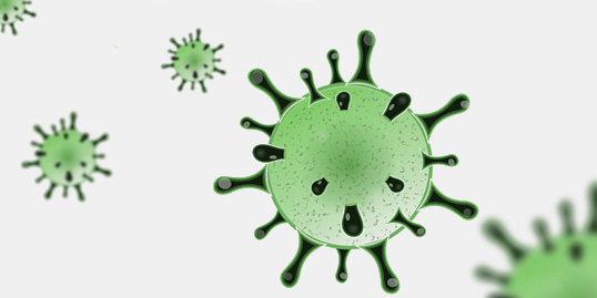 CoronaVirus